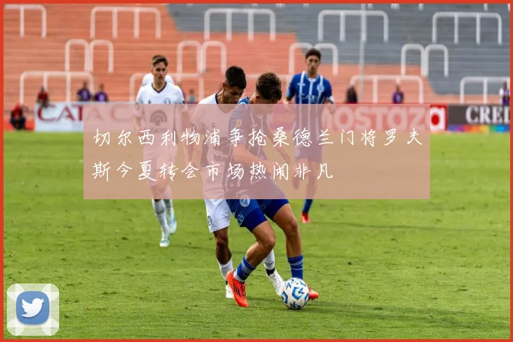 切尔西利物浦争抢桑德兰门将罗夫斯今夏转会市场热闹非凡